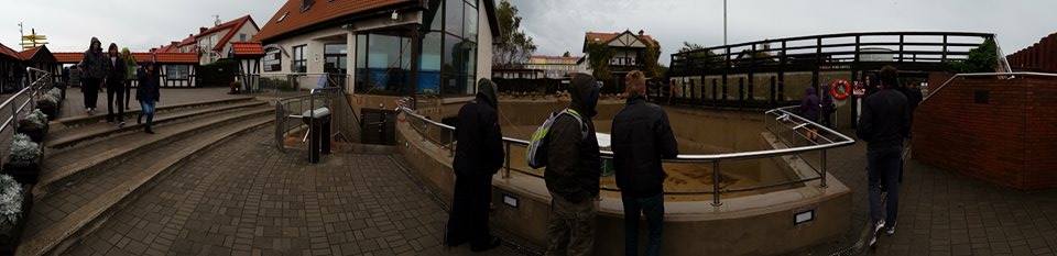 10614062 780344655356275 619256610 n